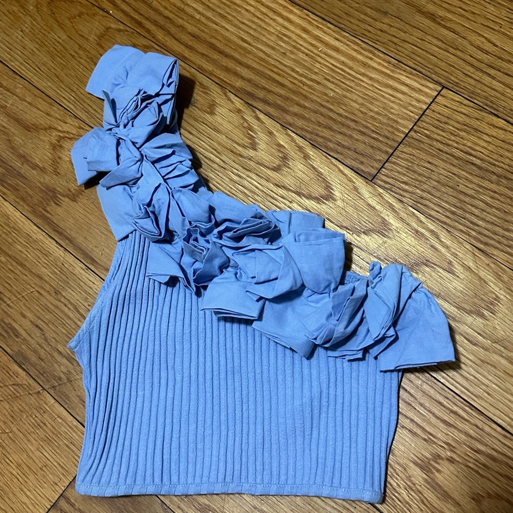 Zara Ruffle Top (medium)